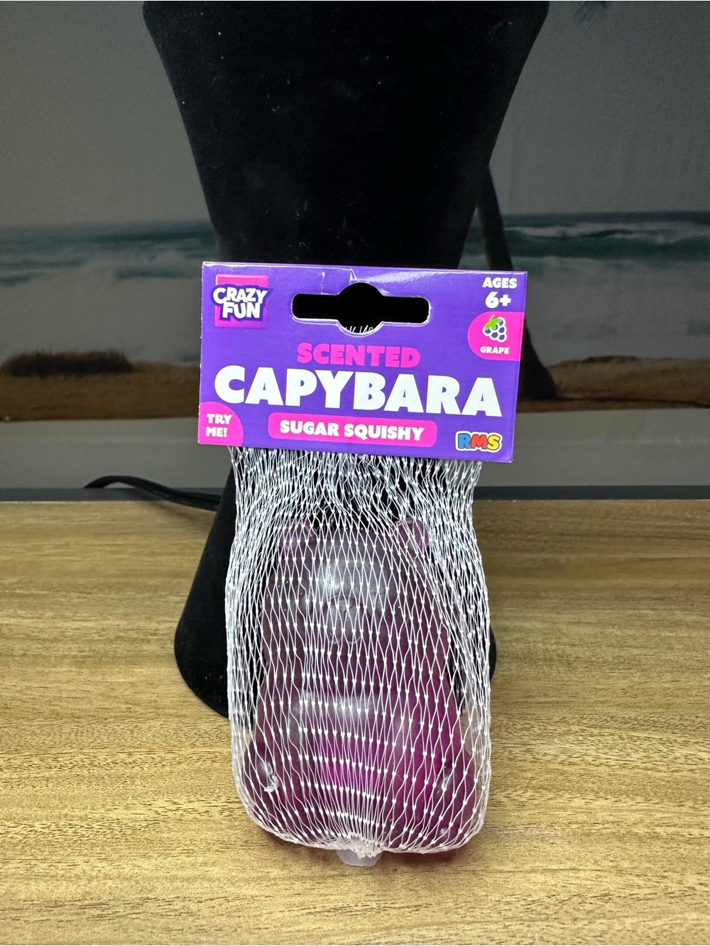 Scented Squishy Capybara